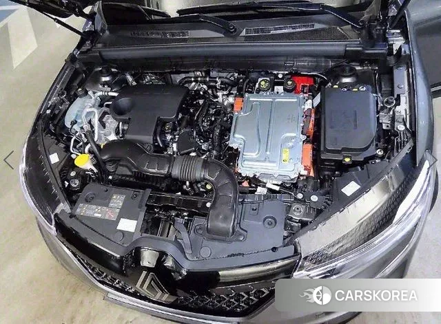 Renault Korea (Samsung) Arcana id 3669998 из Кореи 10