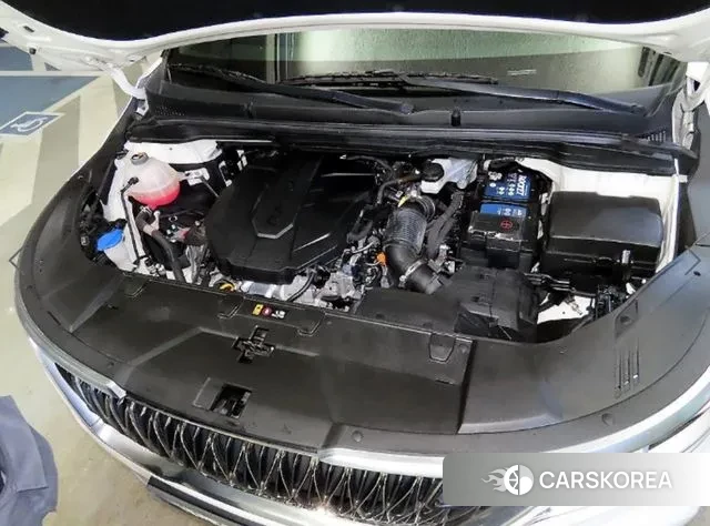 Kia Carnival 4th generation id 3651004 из Кореи 10