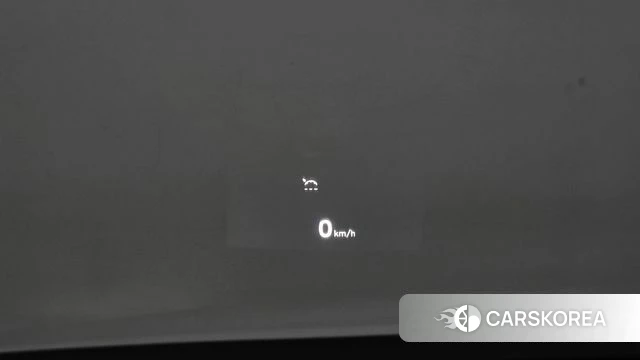 Genesis G90 id 4760157 из Кореи 10
