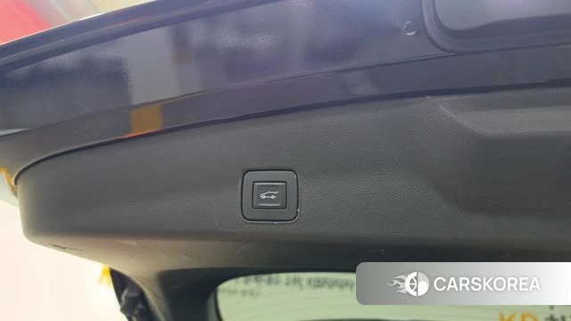 Chevrolet (GM Daewoo) Trailblazer id 4402178 из Кореи 10