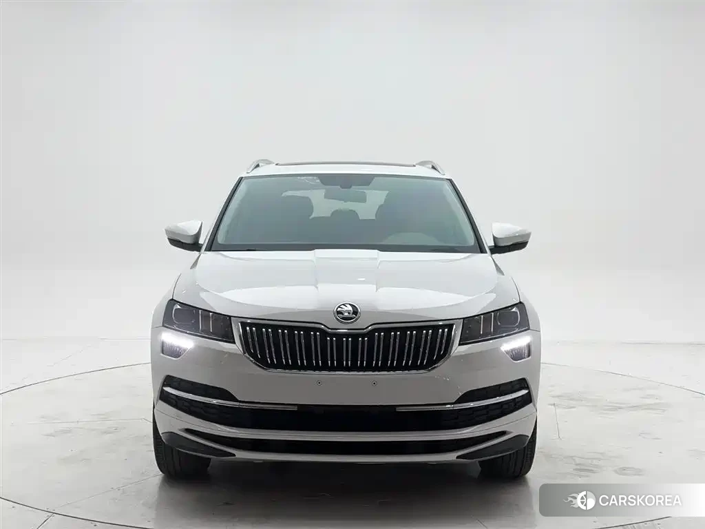 Skoda Krok id 4514389 из Китая 10