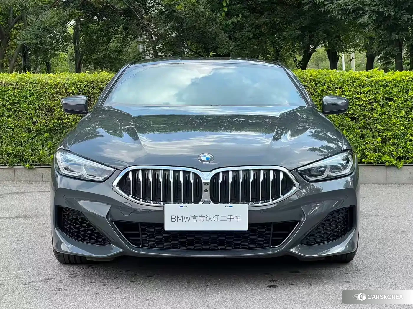 BMW 8 series id 4589278 из Китая 10