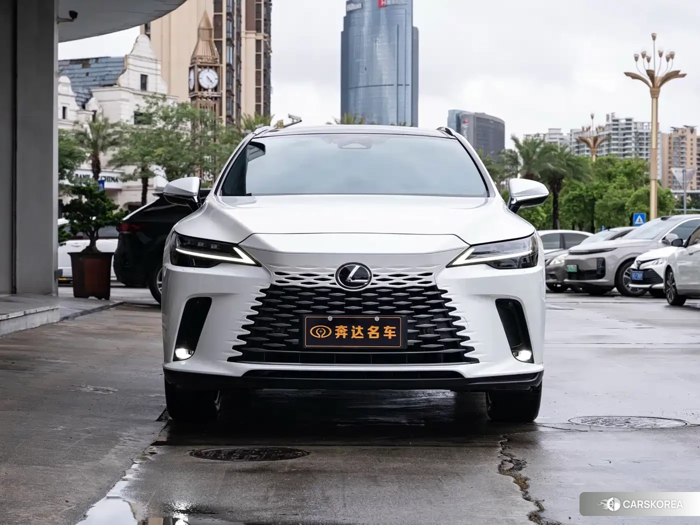 Lexus RX id 4654457 из Китая 10
