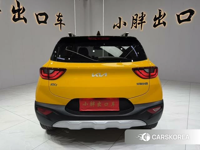 Kia Yi Ran id 4291417 из Китая 10
