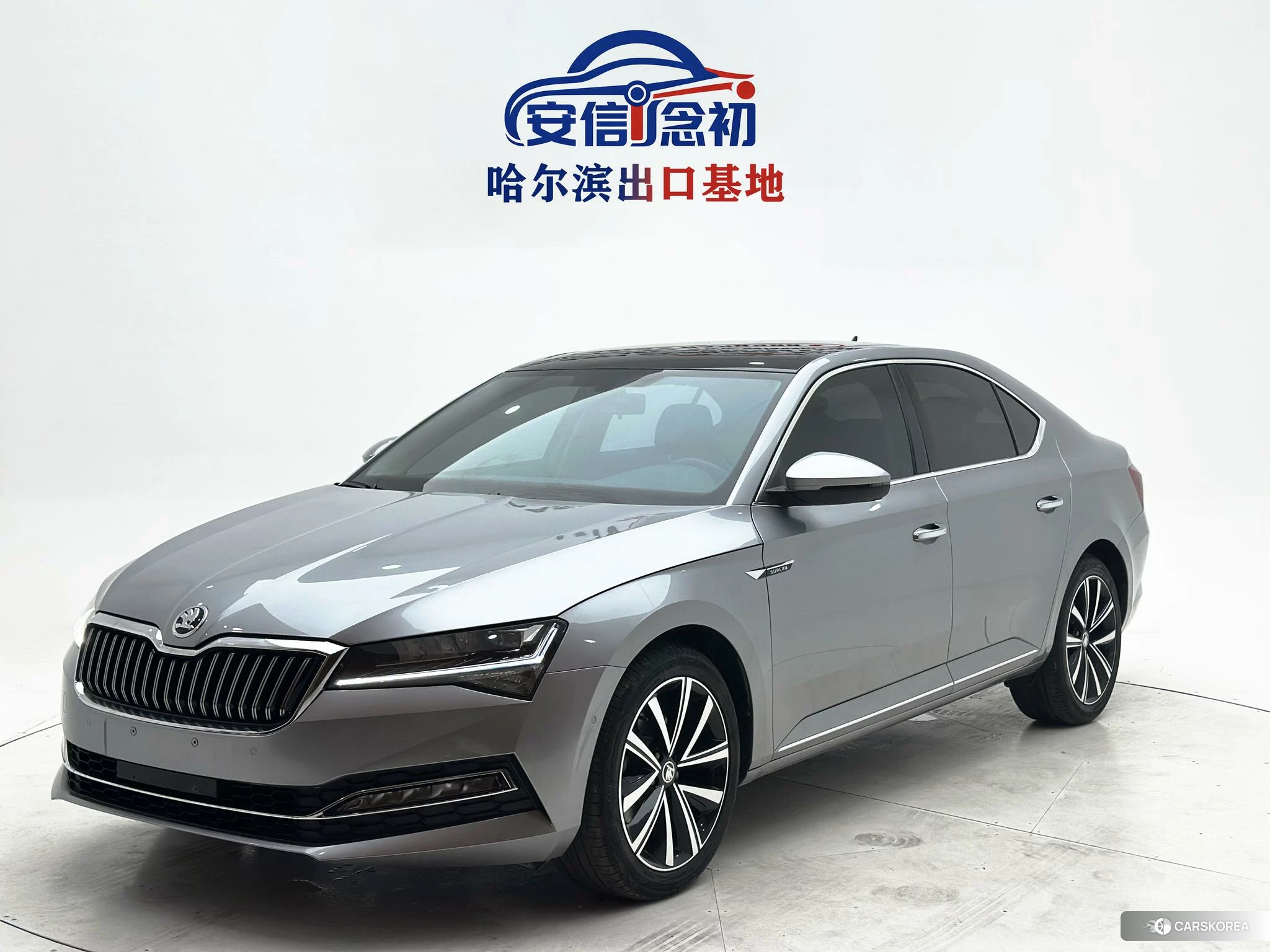 Skoda Speed pie id 4510555 из Китая 10