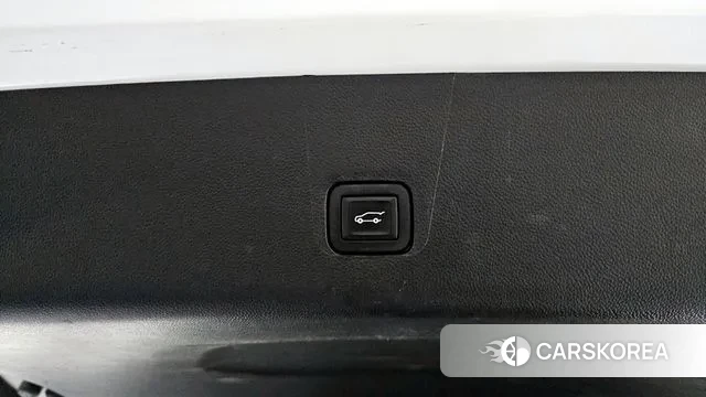 Chevrolet (GM Daewoo) Traverse id 3454511 из Кореи 10