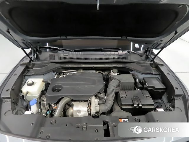 Ssangyong Torres id 4249351 из Кореи 10