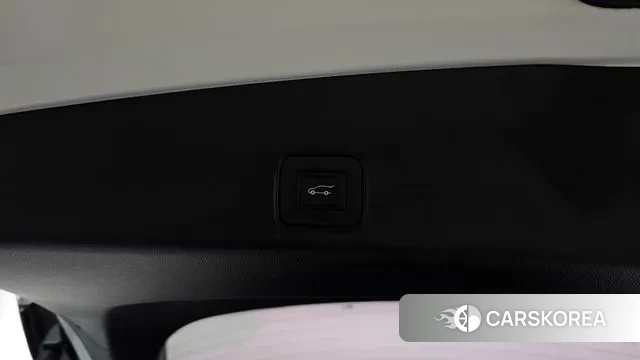 Chevrolet (GM Daewoo) Trailblazer id 3422198 из Кореи 10