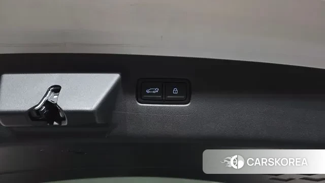 Hyundai Santa Fe (MX5) id 3394109 из Кореи 10