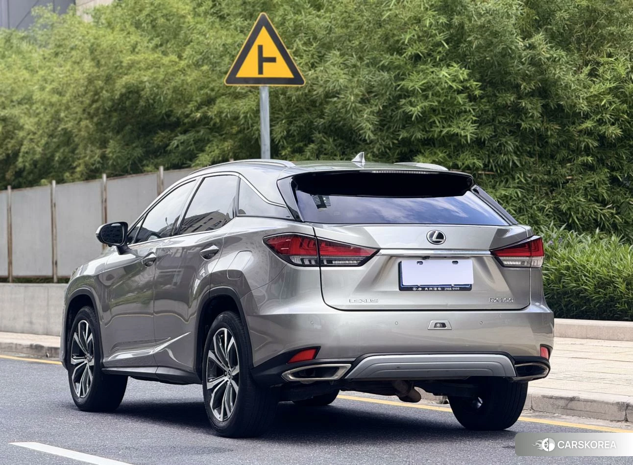 Lexus RX id 4462001 из Китая 10