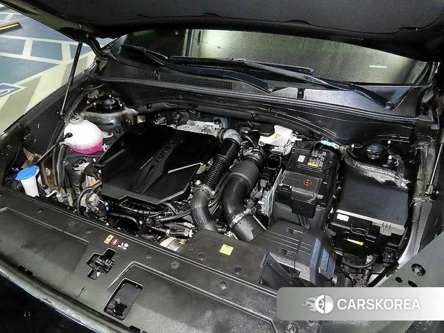 Hyundai The New Santa Fe id 3919672 из Кореи 10