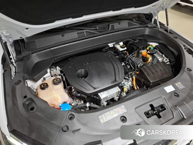 Renault Korea (Samsung) Grand Coleos id 4630203 из Кореи 10