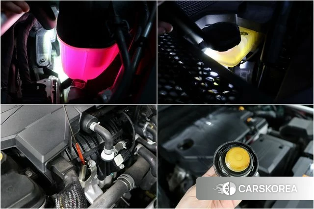 Genesis GV80 id 4500621 из Кореи 10