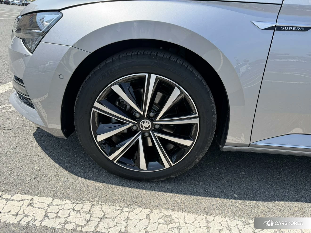 Skoda Speed pie id 4452207 из Китая 10