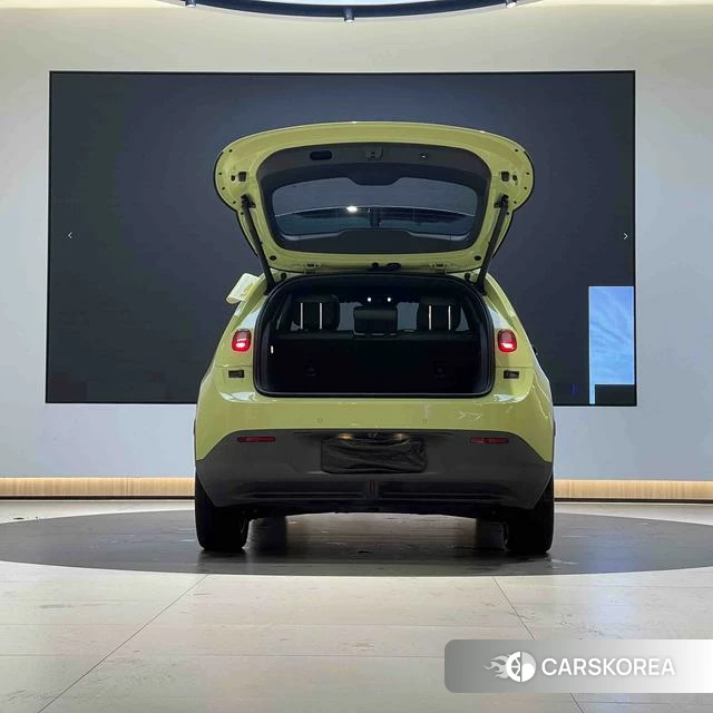 firefly firefly Unknown id 3993585 из Китая 10