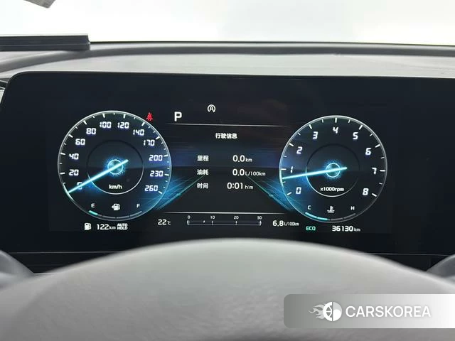Kia Lion Platinum expands the world id 4277449 из Китая 10