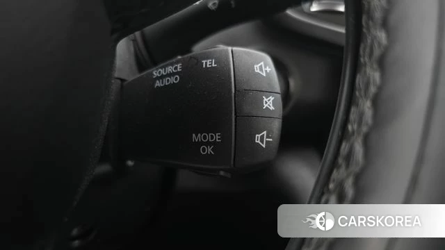 Renault Korea (Samsung) QM6 id 4776258 из Кореи 10