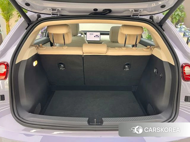 firefly firefly Unknown id 4198925 из Китая 10