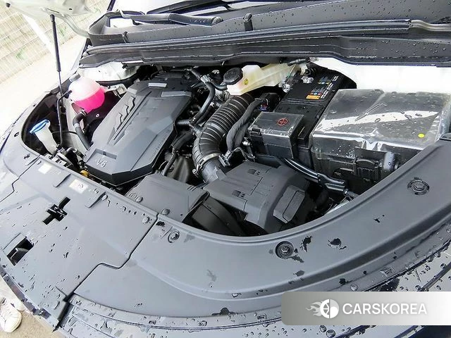 Kia The New Carnival 4th Generation id 3793213 из Кореи 10