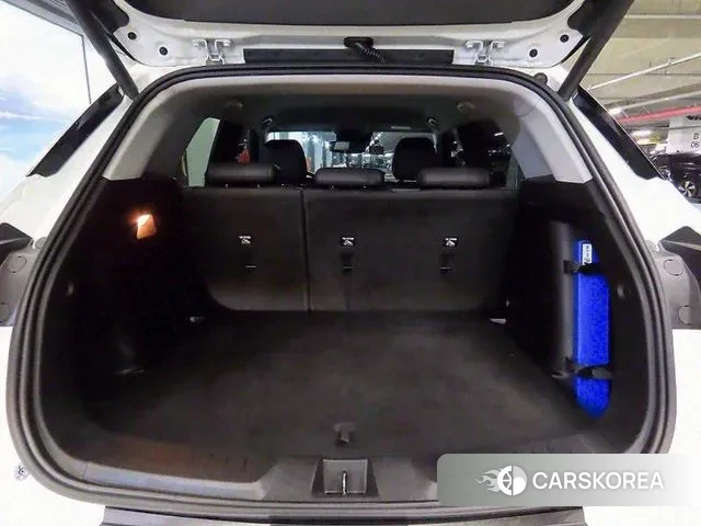 Chevrolet (GM Daewoo) Trailblazer id 3020975 из Кореи 10