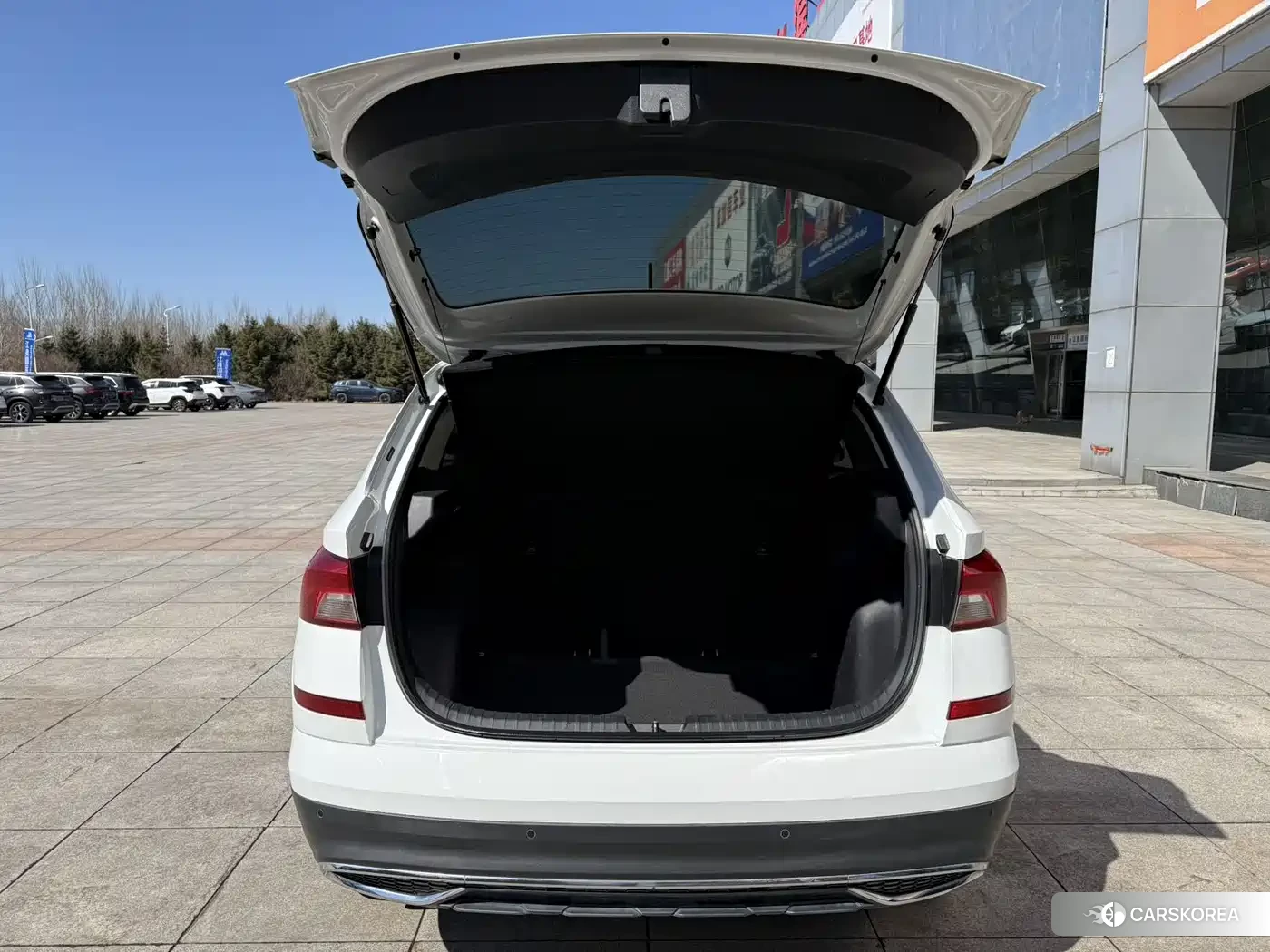 Skoda Komick id 4547326 из Китая 10