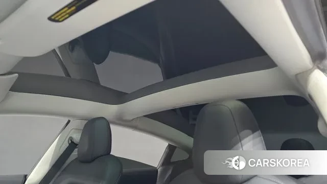 Tesla Model 3 id 3031937 из Кореи 10