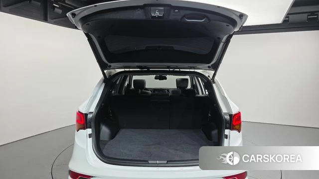 Hyundai Santa Fe The Prime id 4363587 из Кореи 11