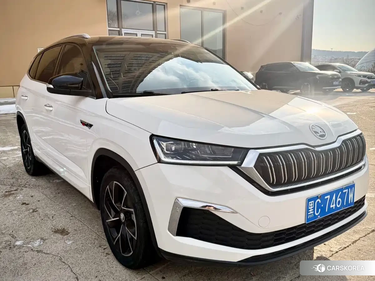 Skoda Komick id 4577555 из Китая 11