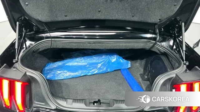 Ford Mustang id 3421114 из Кореи 11