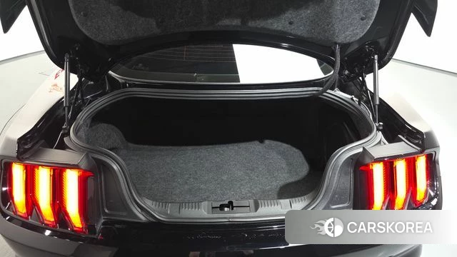 Ford Mustang id 3955555 из Кореи 11