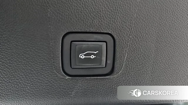 Chevrolet (GM Daewoo) Traverse id 3310413 из Кореи 11