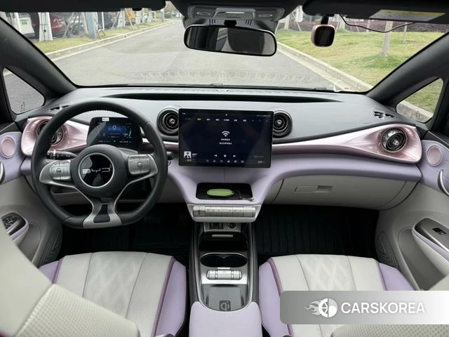 BYD dolphin id 4211195 из Китая 11