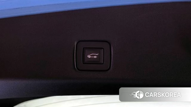 Chevrolet (GM Daewoo) Trailblazer id 4308678 из Кореи 11