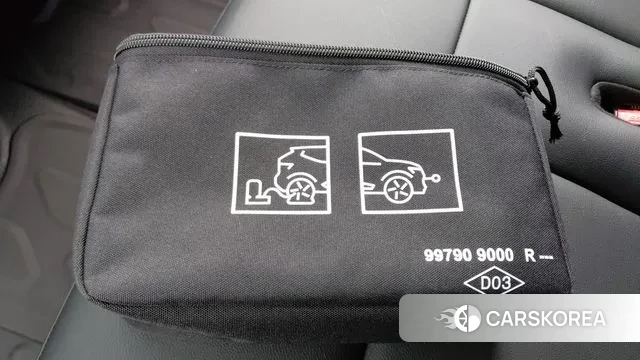 Renault Korea (Samsung) Master id 3775961 из Кореи 11