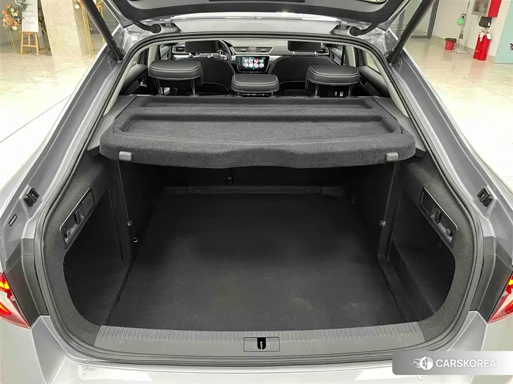Skoda Speed pie id 4515552 из Китая 11
