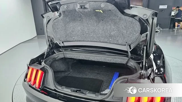 Ford Mustang id 3012910 из Кореи 11