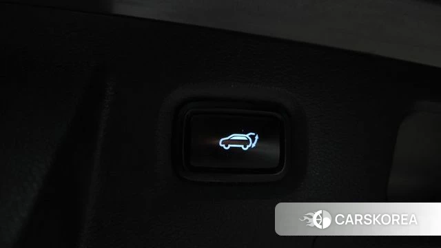 Hyundai Santa Fe TM id 4225129 из Кореи 11