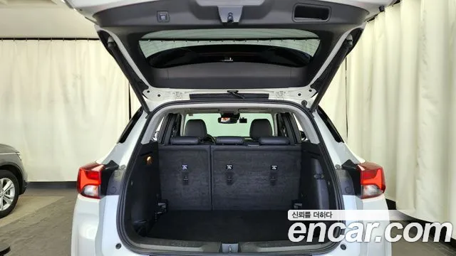 Chevrolet (GM Daewoo) Trailblazer id 2713891 из Кореи 11