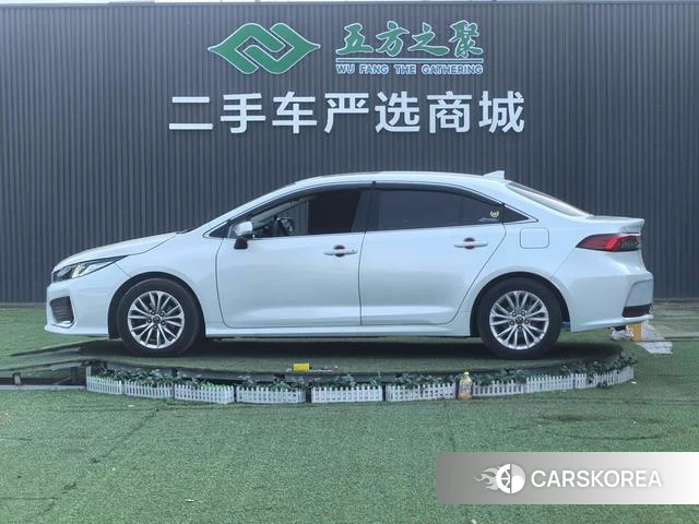 Toyota Asian lion id 4258694 из Китая 11