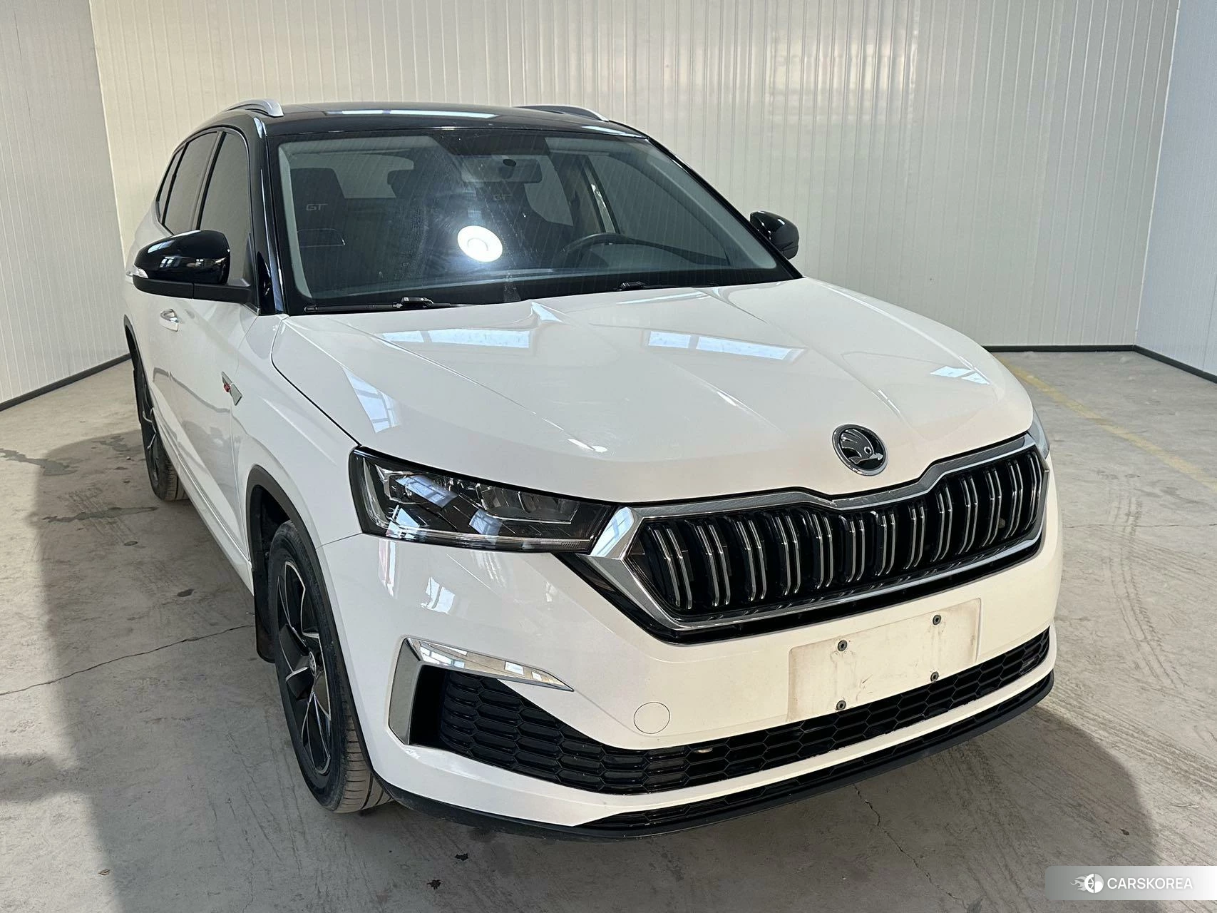 Skoda Kamiq id 4454268 из Китая 11