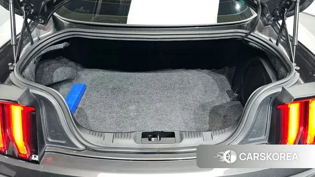 Ford Mustang id 3060504 из Кореи 11