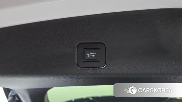 Chevrolet (GM Daewoo) Trailblazer id 3060280 из Кореи 11