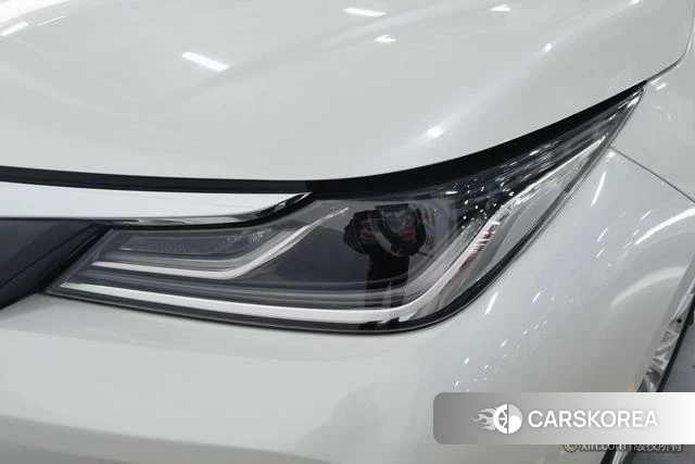 Toyota Asian lion id 4276507 из Китая 11