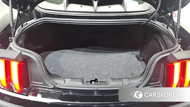 Ford Mustang id 3692683 из Кореи 11