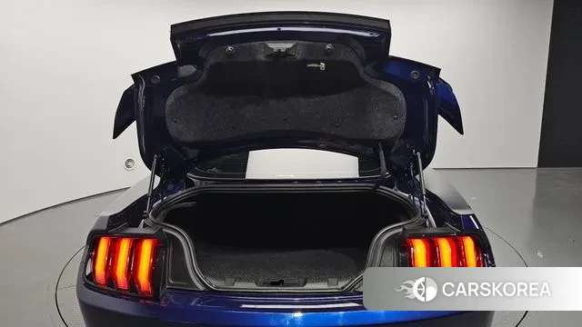 Ford Mustang id 3402318 из Кореи 11