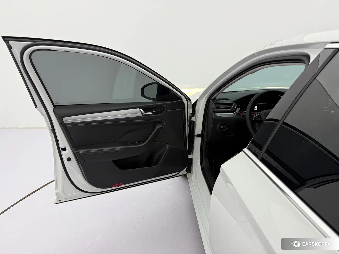 Skoda Speed pie id 4538816 из Китая 11