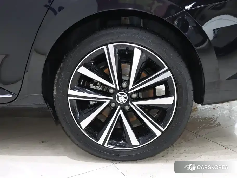 Skoda Speed pie id 4515532 из Китая 11
