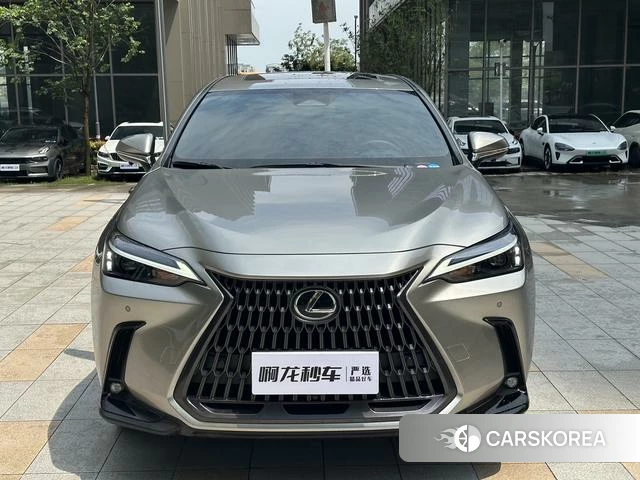 Lexus NX id 4394062 из Китая 11