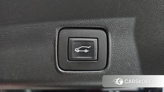 Chevrolet (GM Daewoo) Trailblazer id 3037901 из Кореи 11