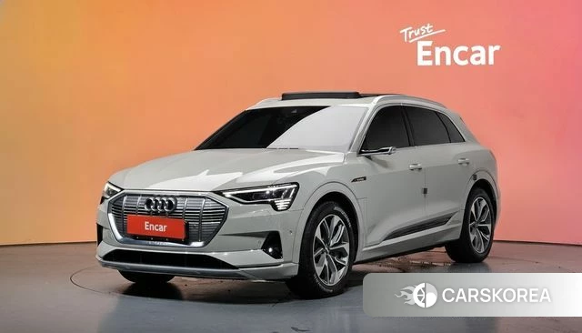 Audi e-Tron id 4581006 из Кореи 11